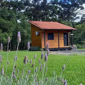 https://pousada-v-nen.santa-catarina-brasil.com